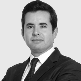 M. Mostafa HASSANI